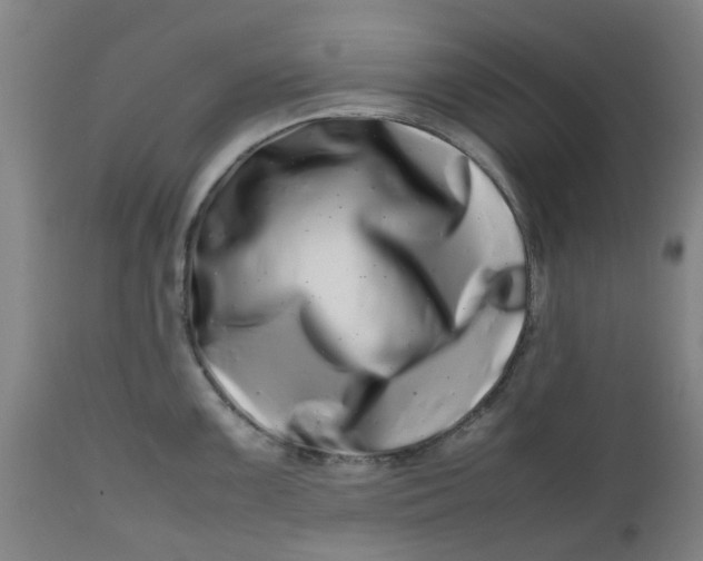 X0000112491099200909071215