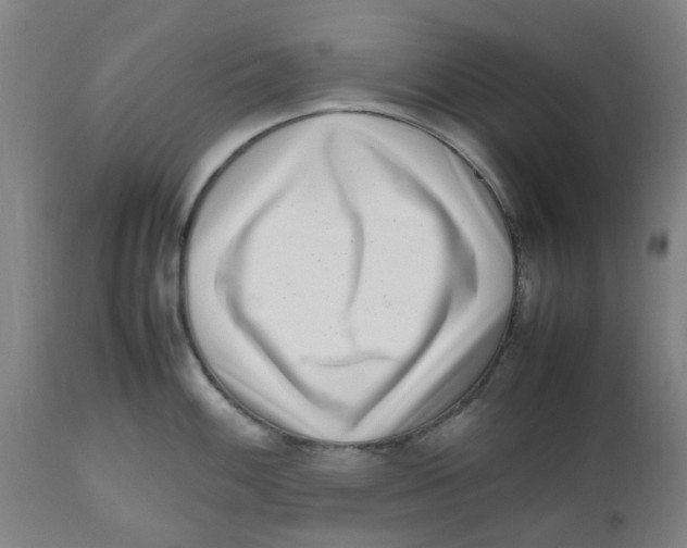 X0000112491100200909071215