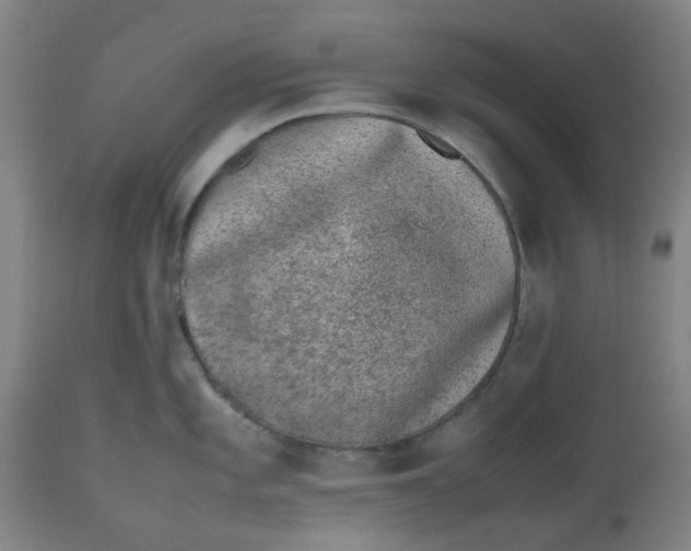 X0000112491101200909071215