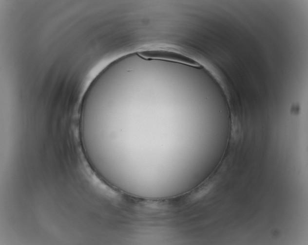 X0000112491102200909071215