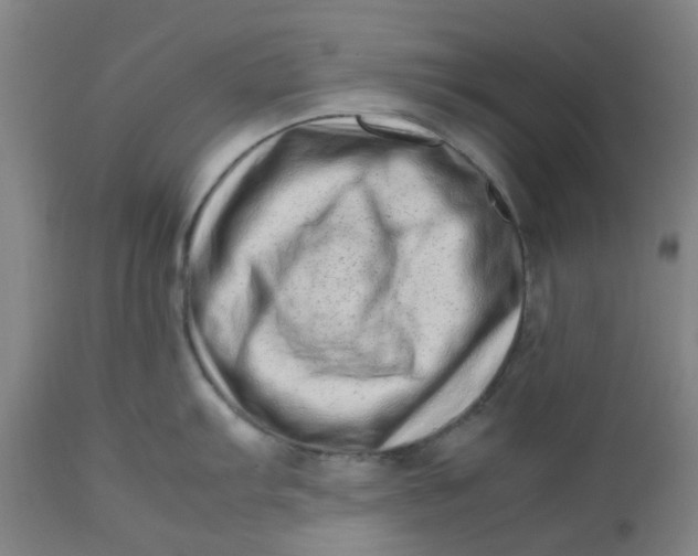 X0000112491103200909071215