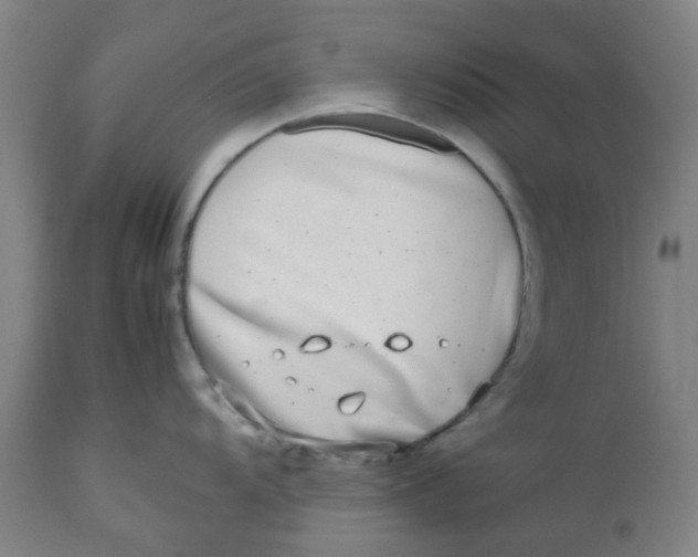 X0000112491104200909071215