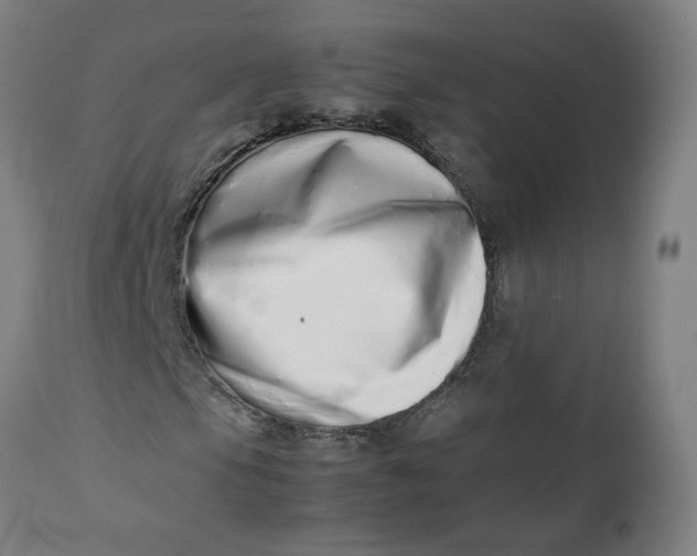 X0000112491105200909071215