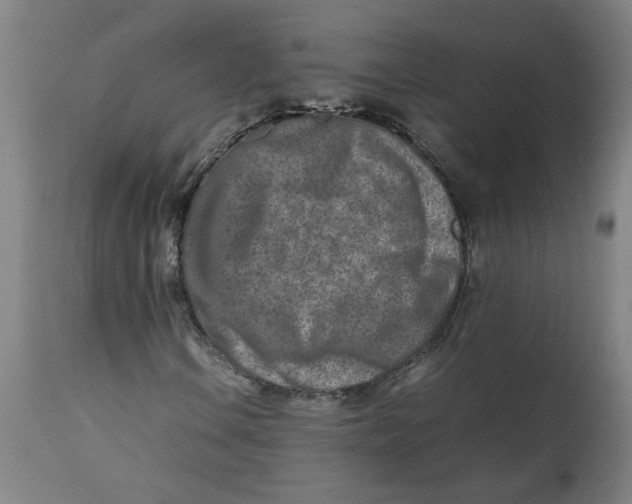 X0000112491106200909071215