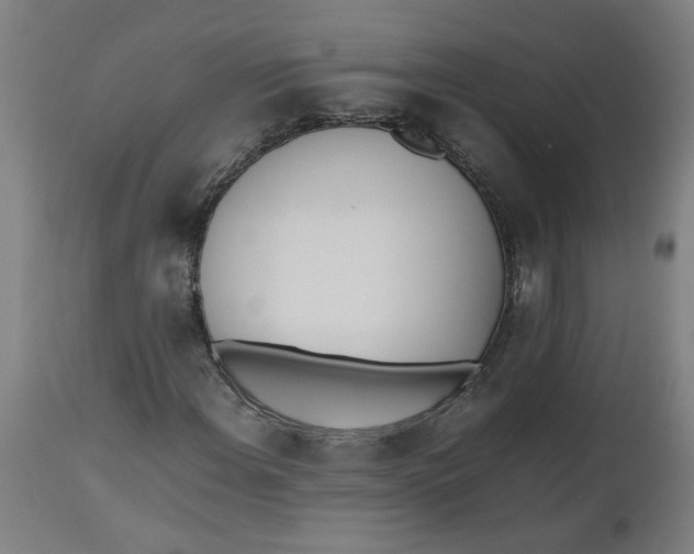 X0000112491108200909071215