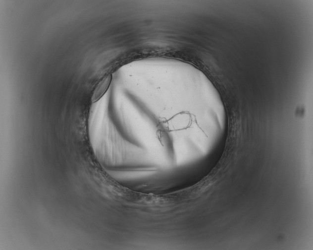 X0000112491109200909071215