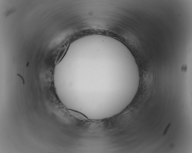 X0000112491110200909071215