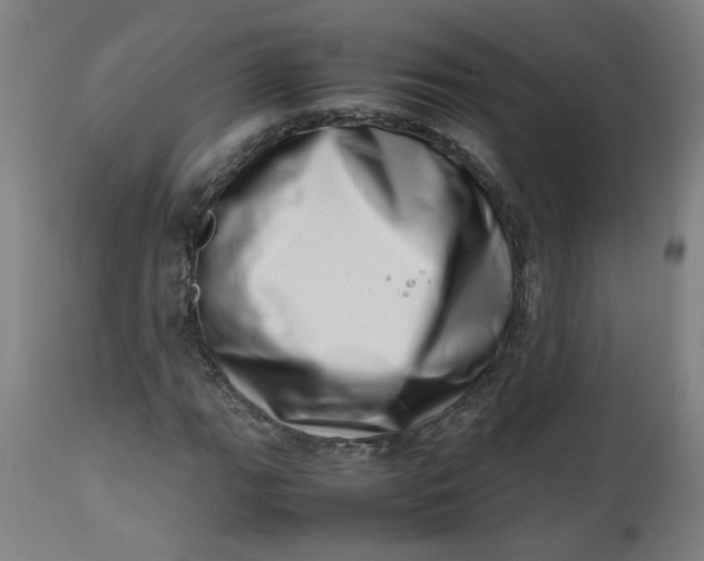 X0000112491111200909071215