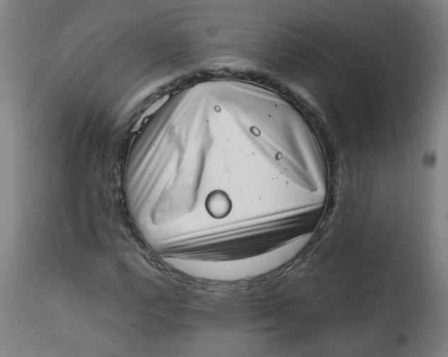 X0000112491112200909071215