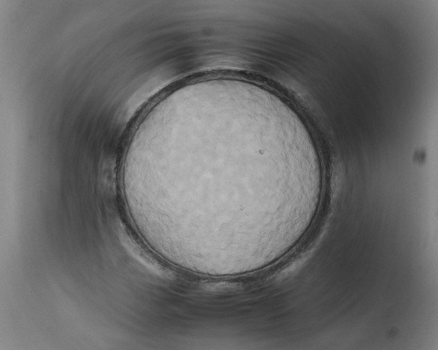 X0000112491113200909071215