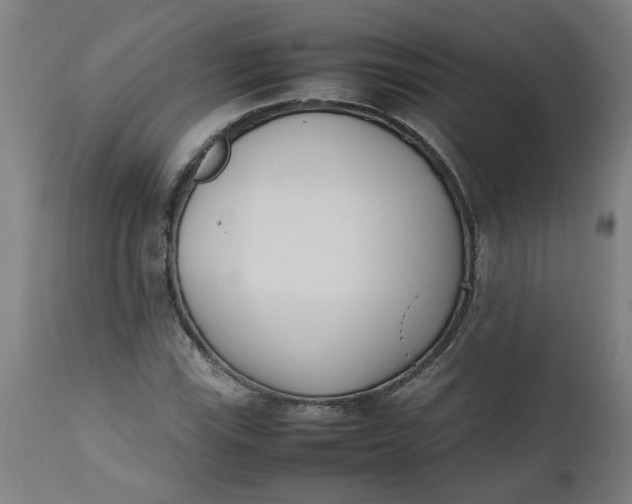 X0000112491115200909071215