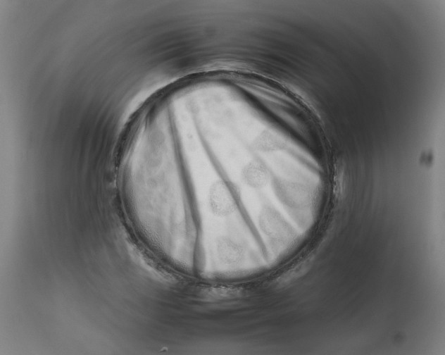 X0000112491117200909071215