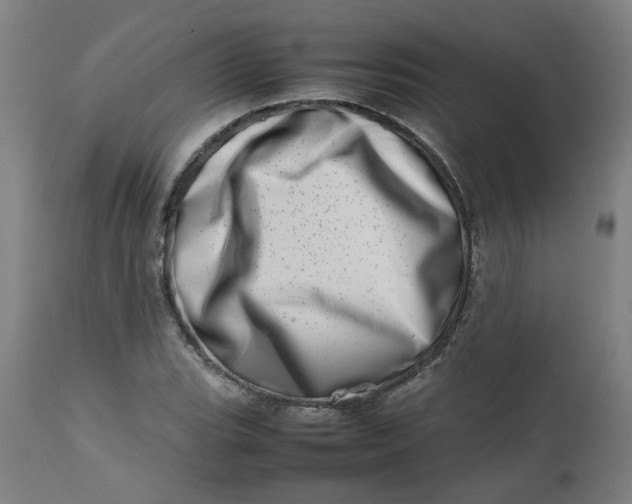 X0000112491119200909071215