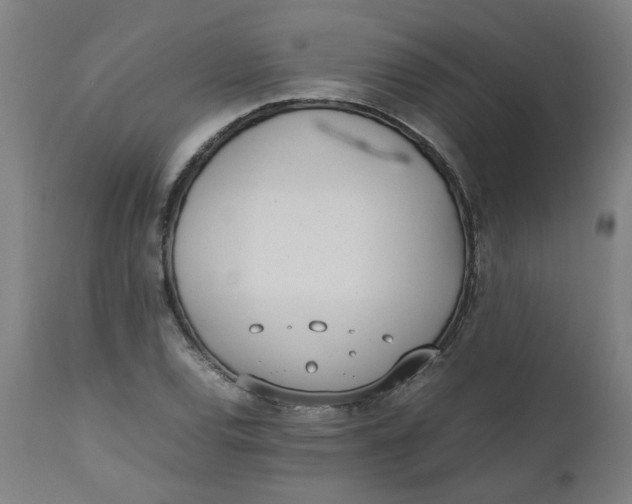 X0000112491120200909071215