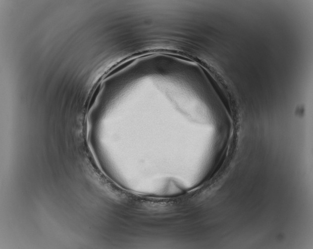 X0000112491121200909071215