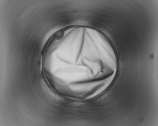 X0000112491123200909071215