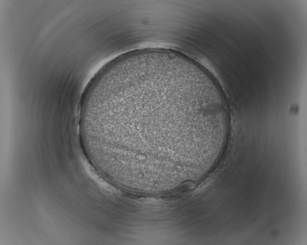 X0000112491124200909071215