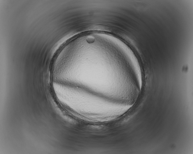 X0000112491125200909071215