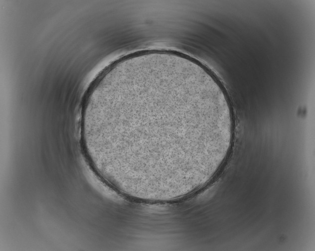 X0000112491126200909071215