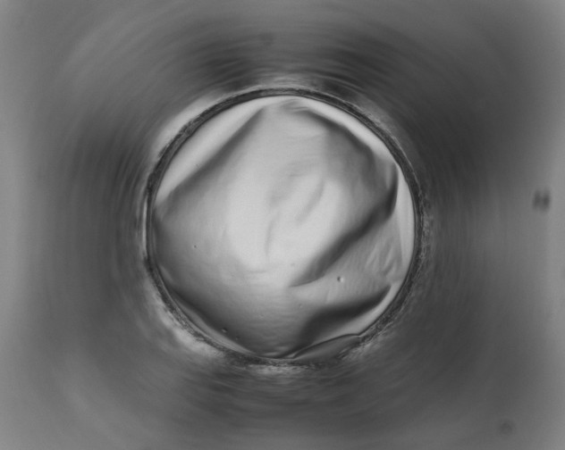 X0000112491127200909071215