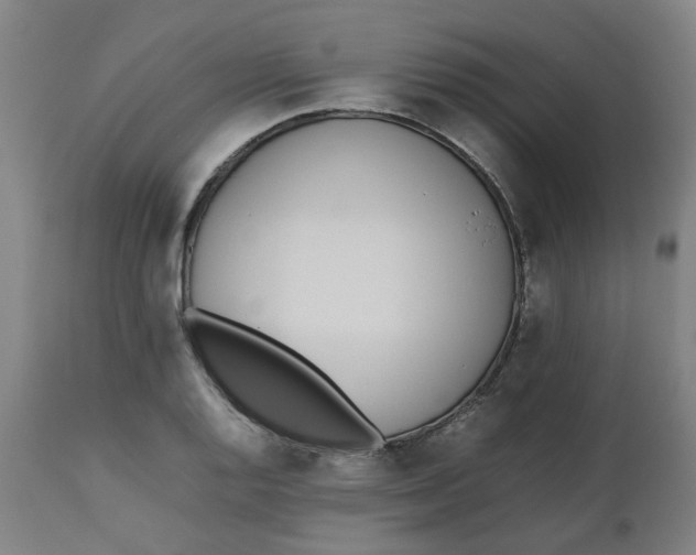 X0000112491128200909071215