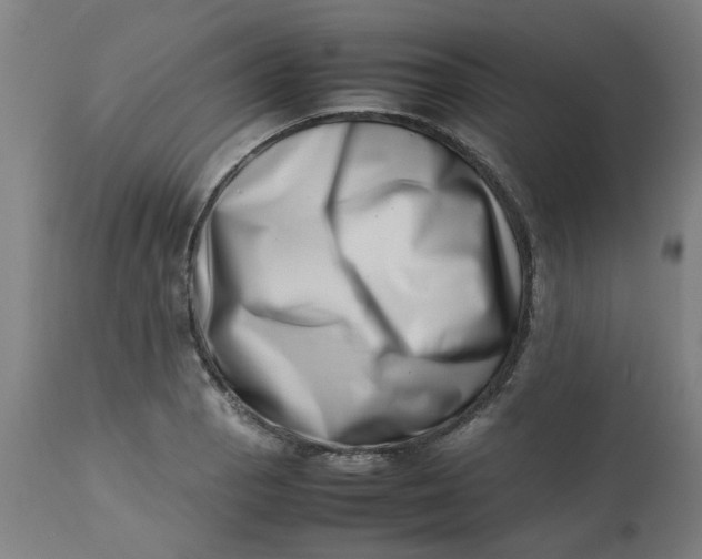 X0000112491129200909071215