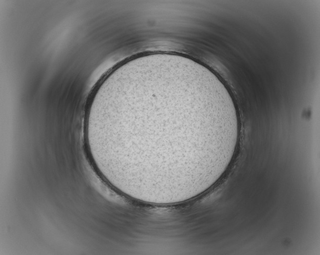 X0000112491130200909071215