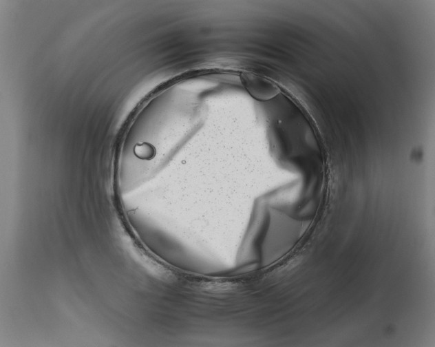 X0000112491131200909071215