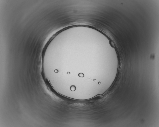 X0000112491132200909071215