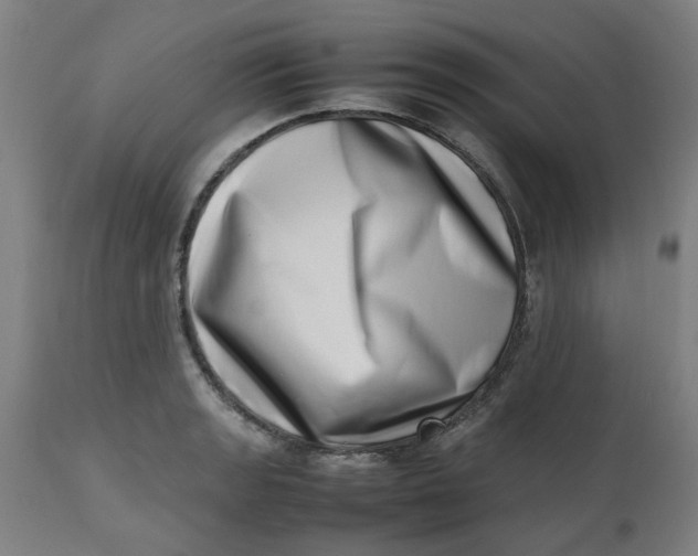 X0000112491133200909071215