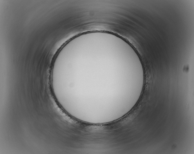 X0000112491134200909071215