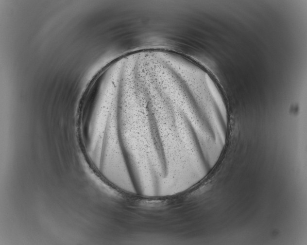 X0000112491135200909071215