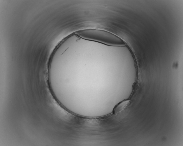 X0000112491136200909071215