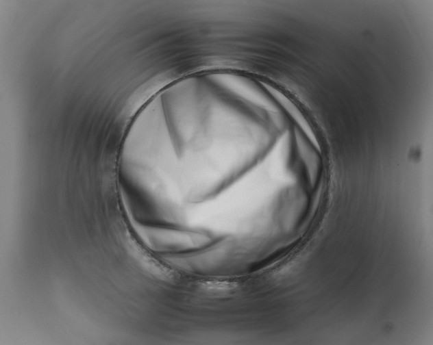 X0000112491137200909071215