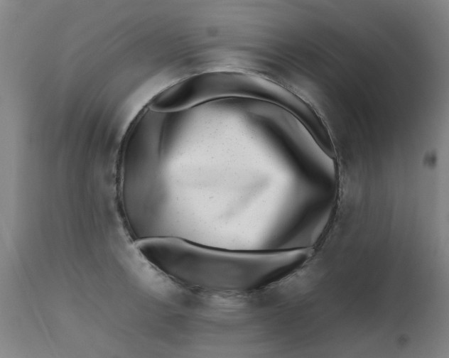 X0000112491138200909071215