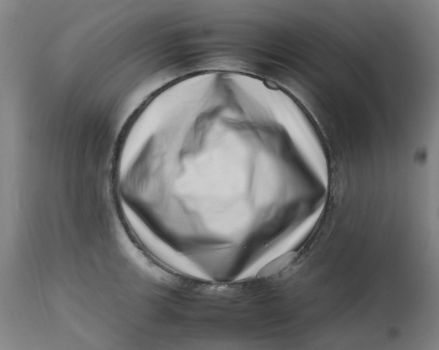 X0000112491139200909071215