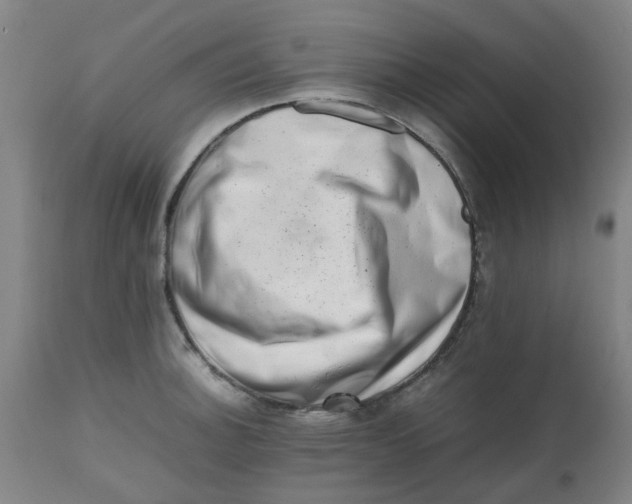 X0000112491140200909071215