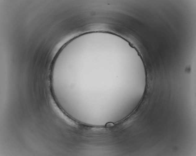 X0000112491142200909071215