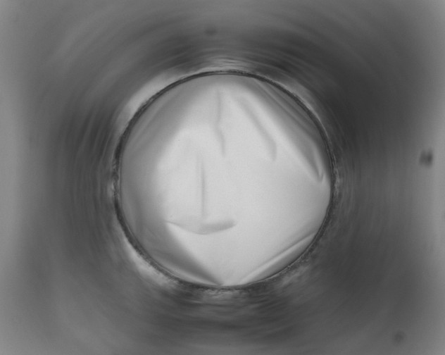 X0000112491143200909071215