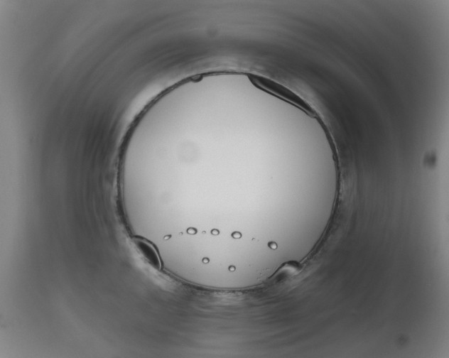 X0000112491144200909071215