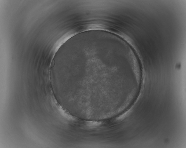 X0000112491145200909071215