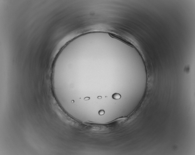 X0000112491146200909071215