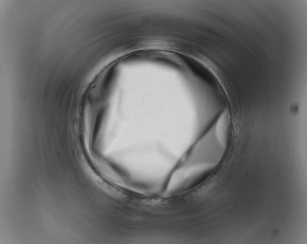 X0000112491147200909071215