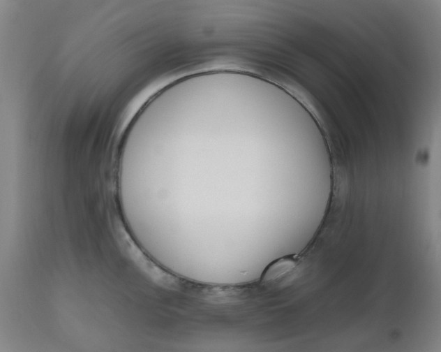 X0000112491148200909071215