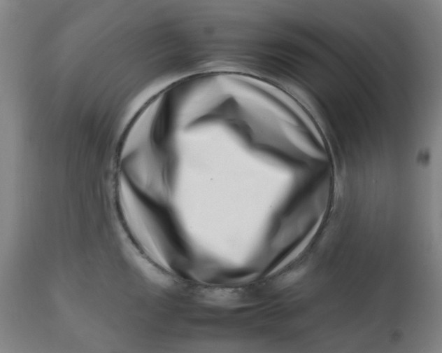 X0000112491149200909071215