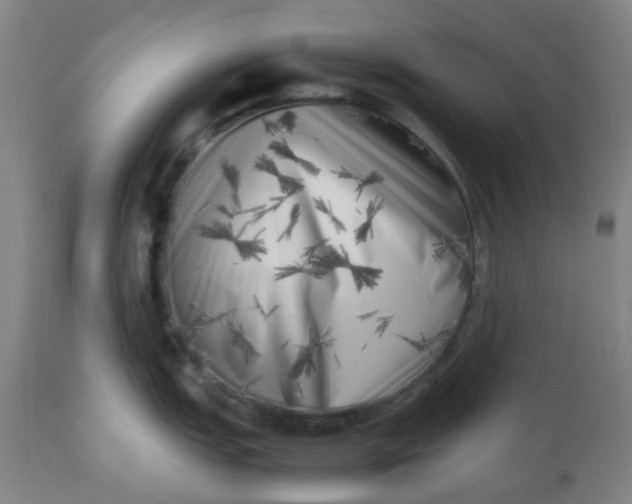 X0000112491151200909071215