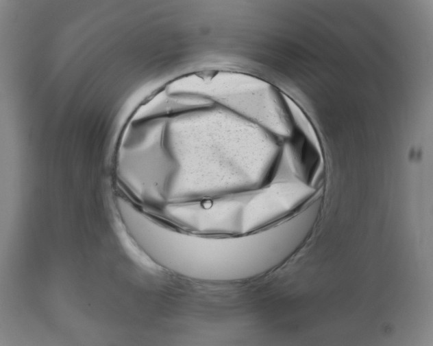 X0000112491152200909071215