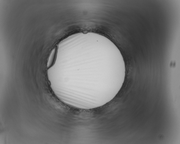 X0000112491153200909071215