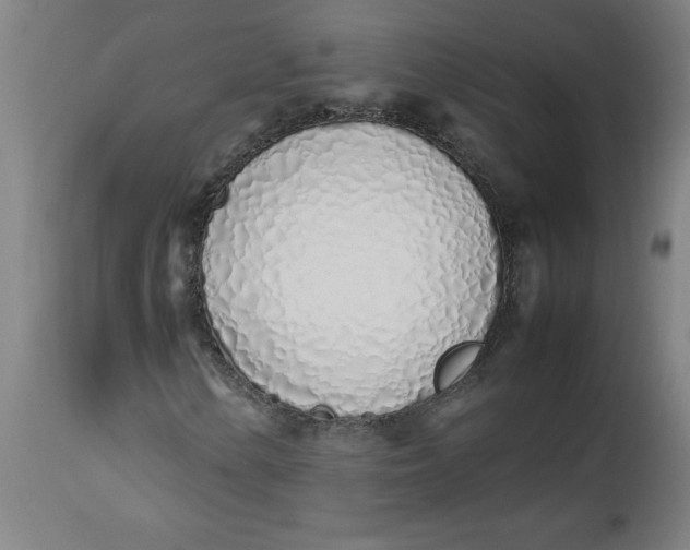 X0000112491154200909071215