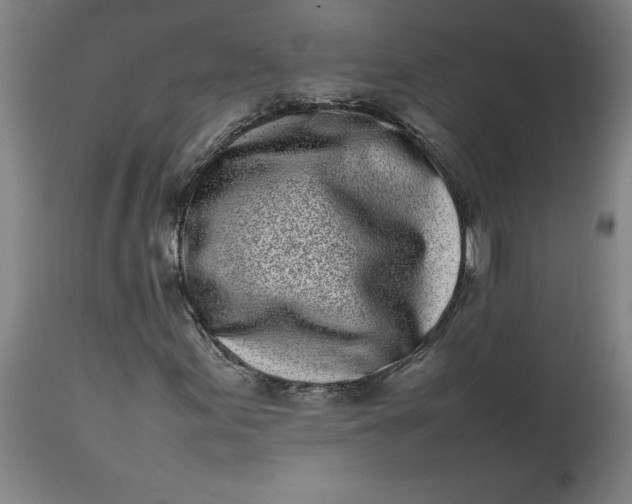 X0000112491155200909071215